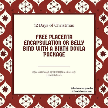 Free placenta encapsulation or belly bind with birth doula package